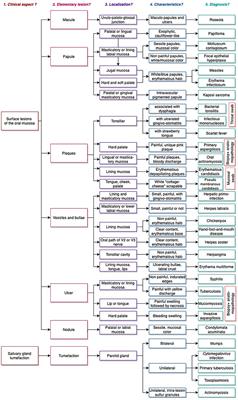 Oral lesions of viral, bacterial, and fungal diseases in children: A decision tree